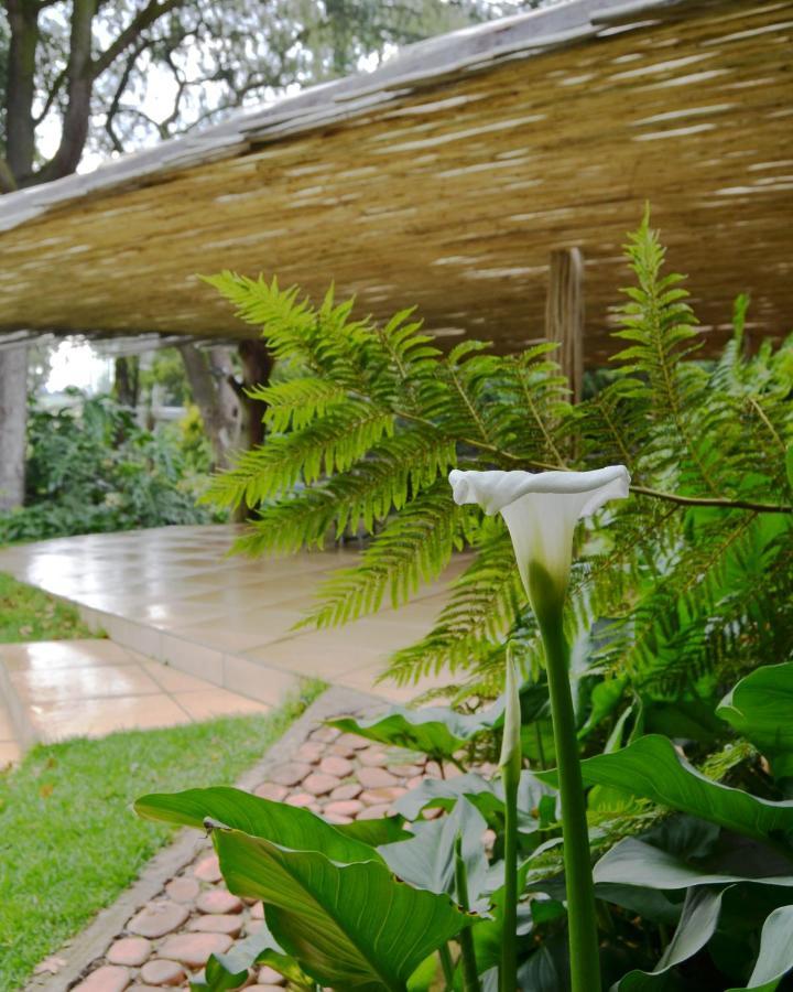 Highveld Splendour Boutique Bed And Breakfast แอร์เมอโล ภายนอก รูปภาพ
